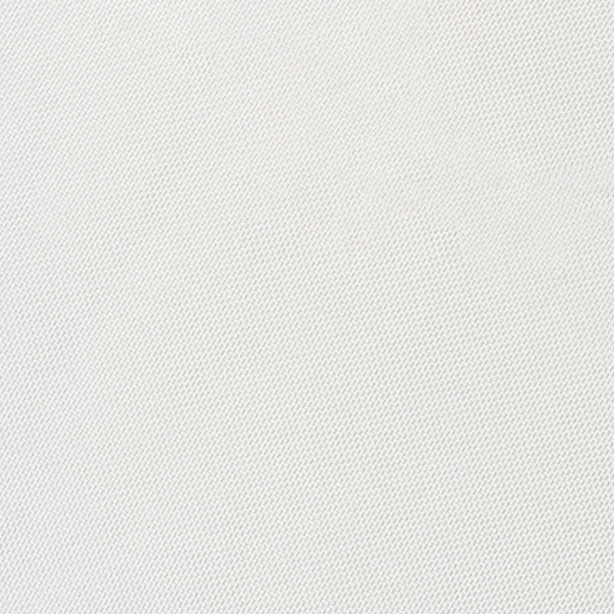 Caribe-proof® Tierra White