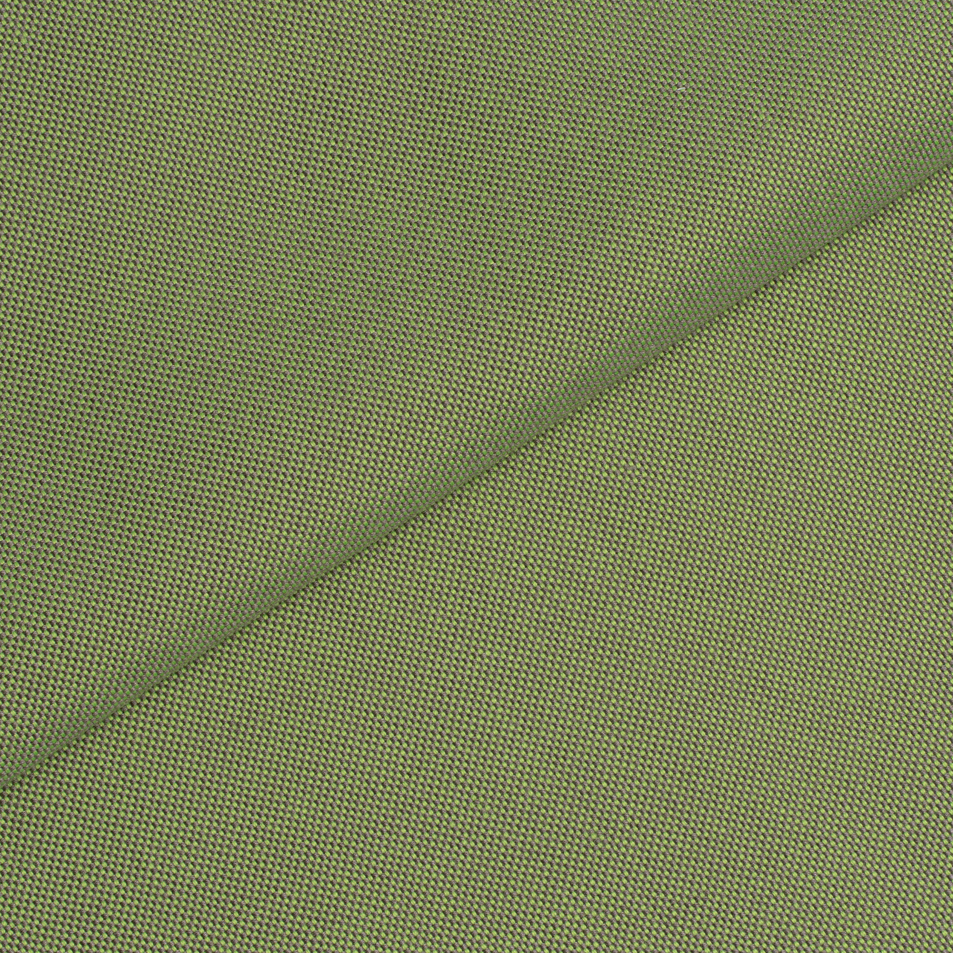 Caribe-proof® Tierra Grass