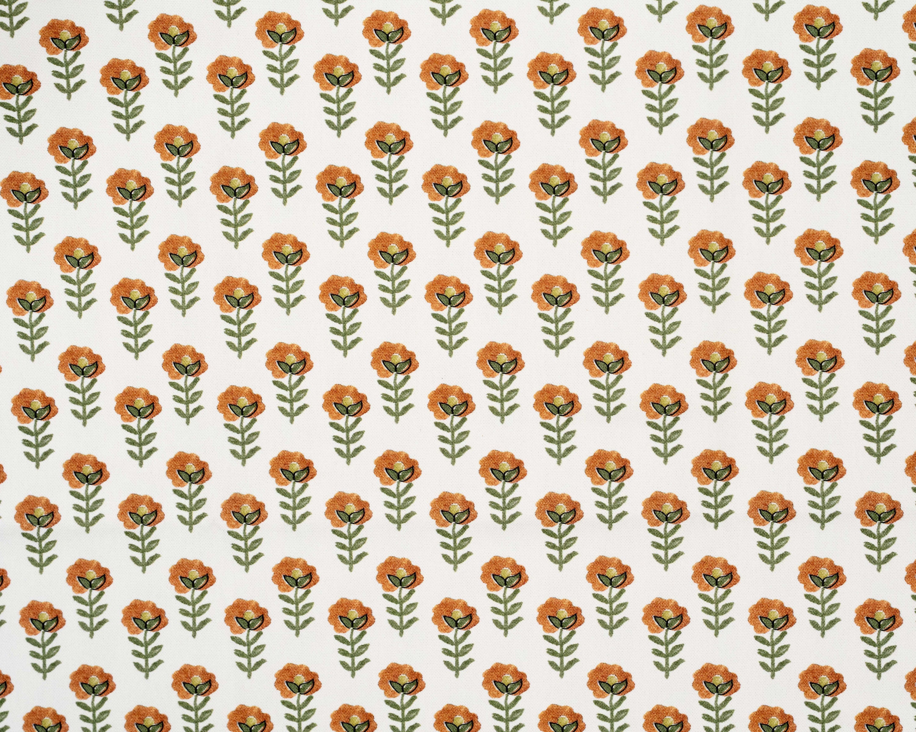 Elaisy Mandarina