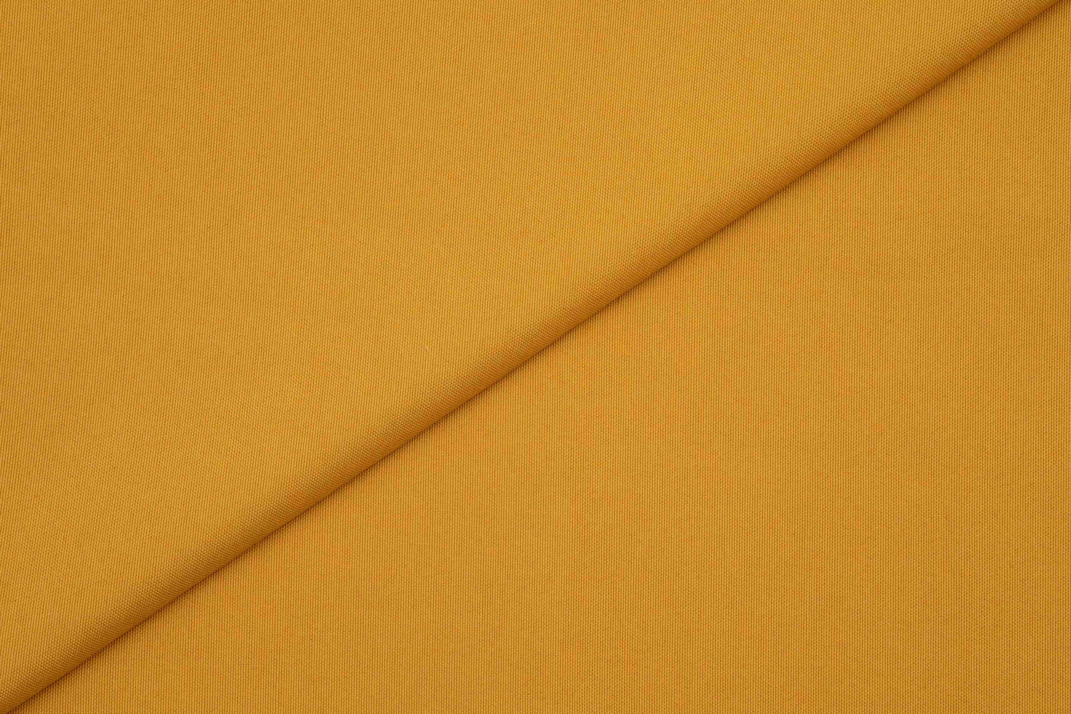 Amelia Mustard