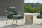 Palmilla Olive