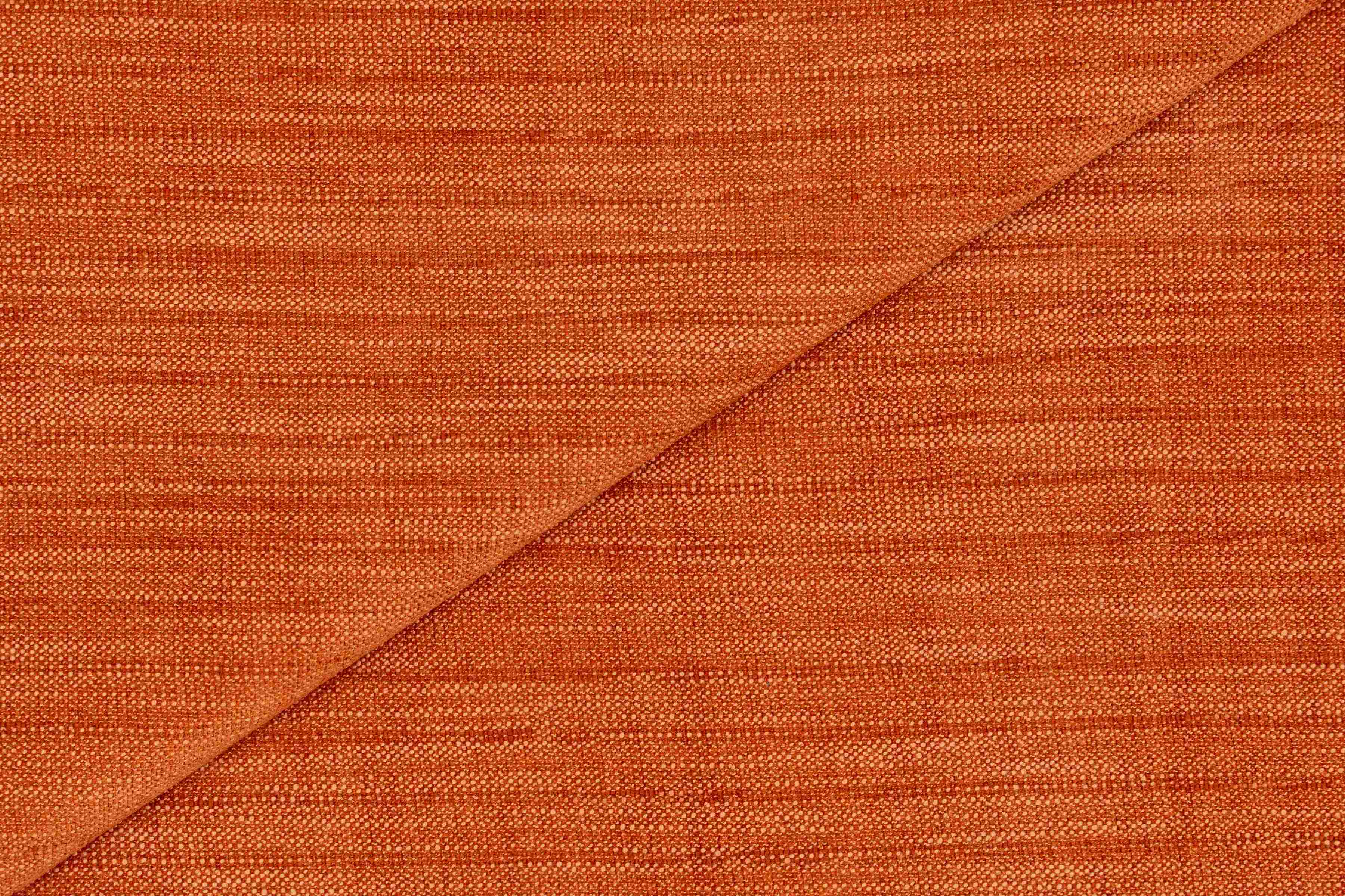 Roy Terracotta