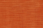 Roy Terracota