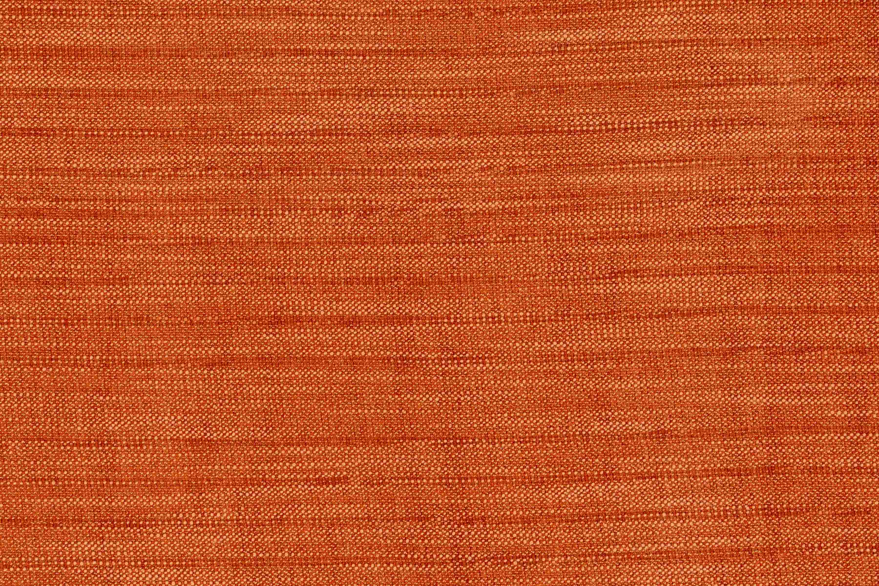 Roy Terracota
