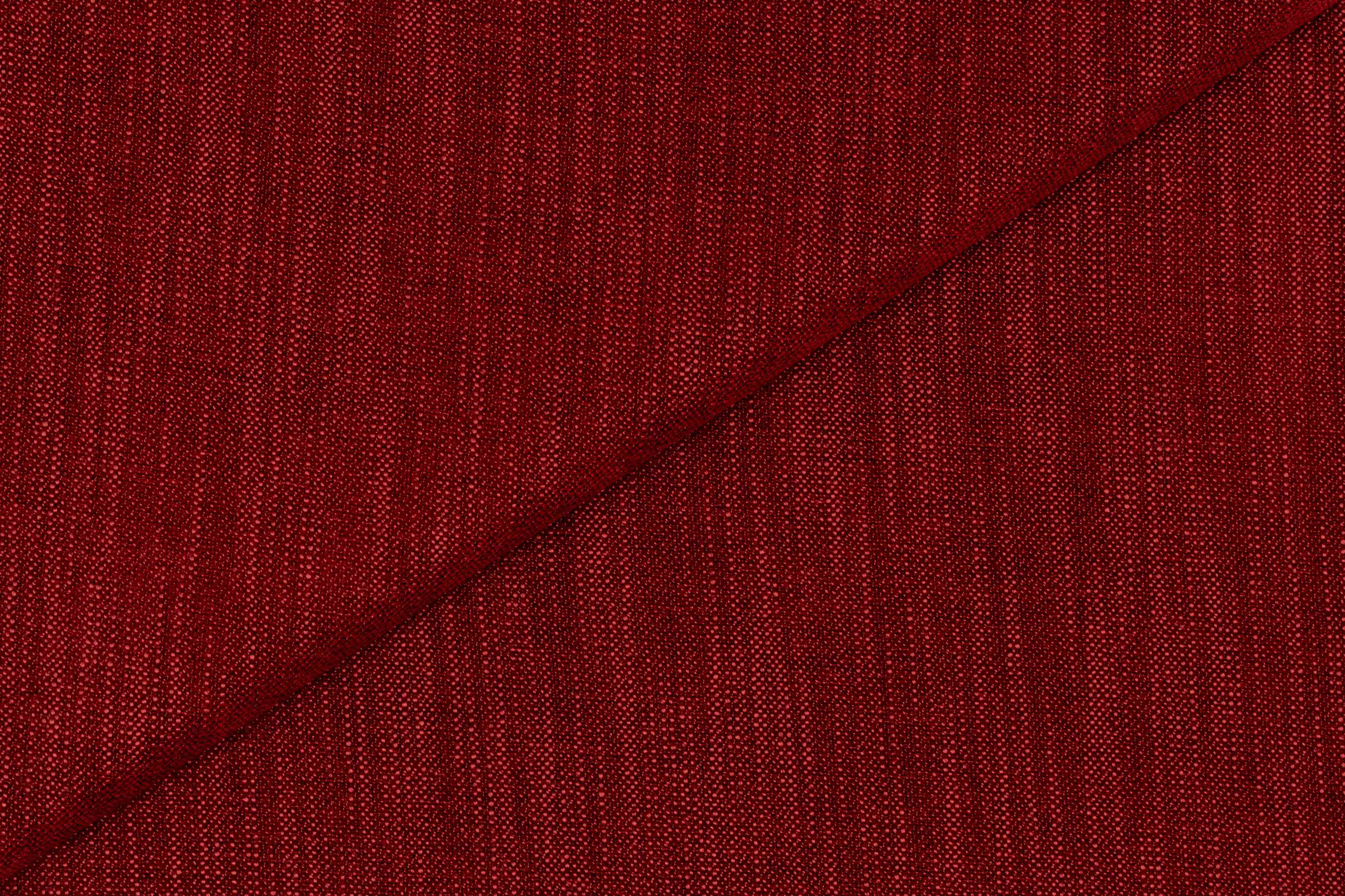 Roy Carmine