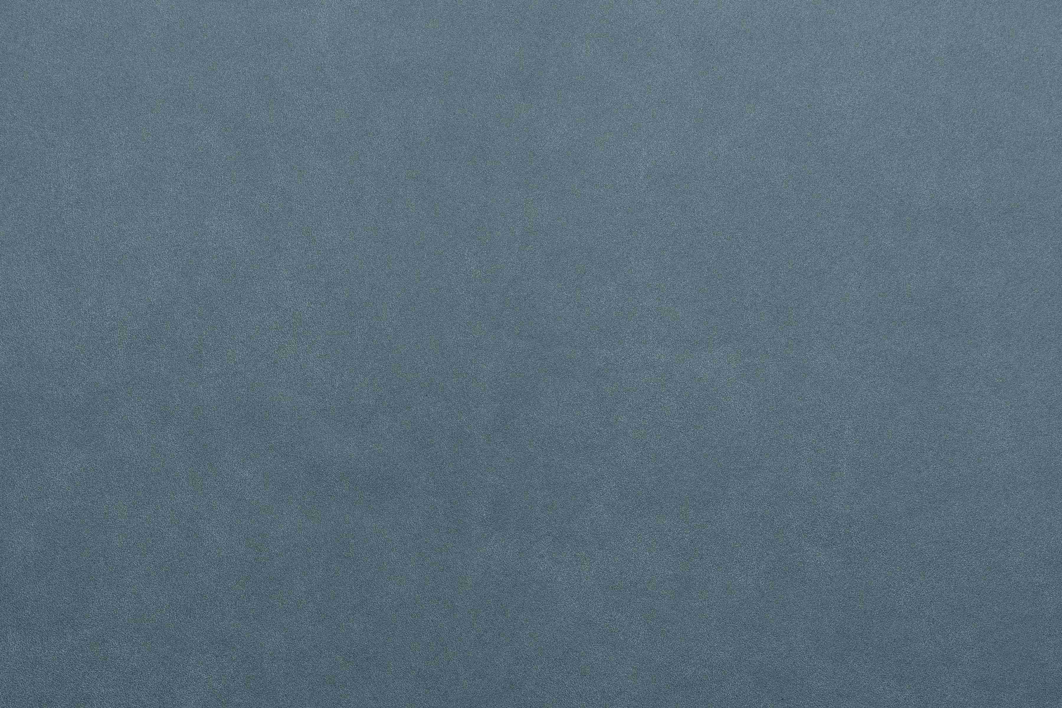 Dylan Denim