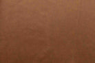 Dylan Camel