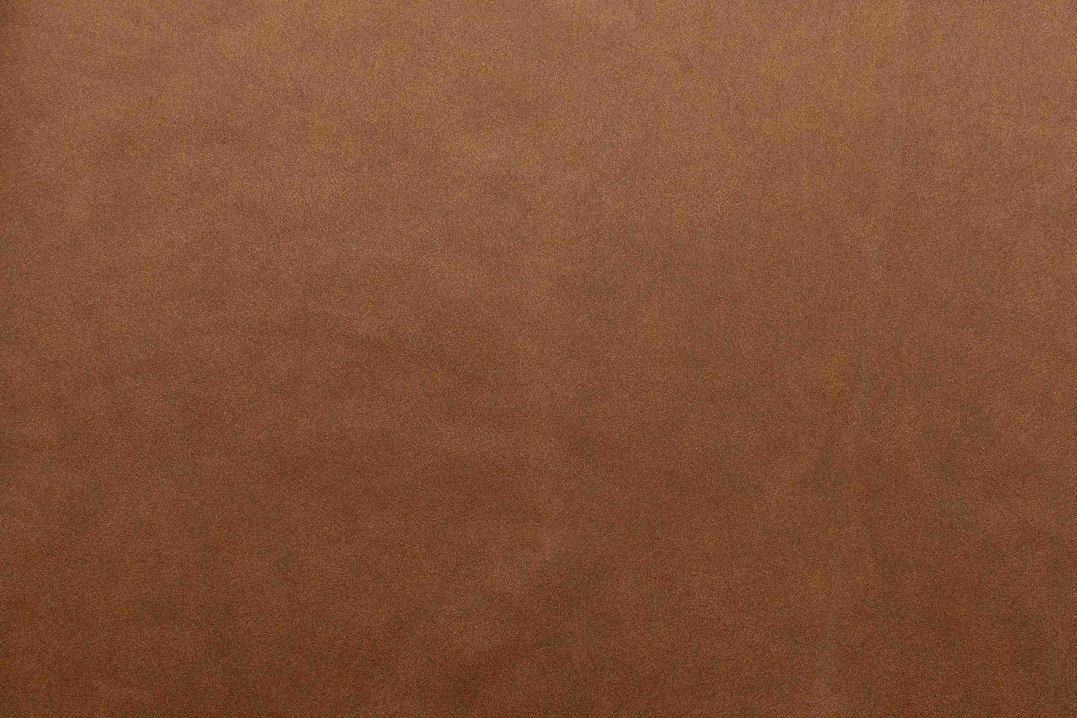 Dylan Camel