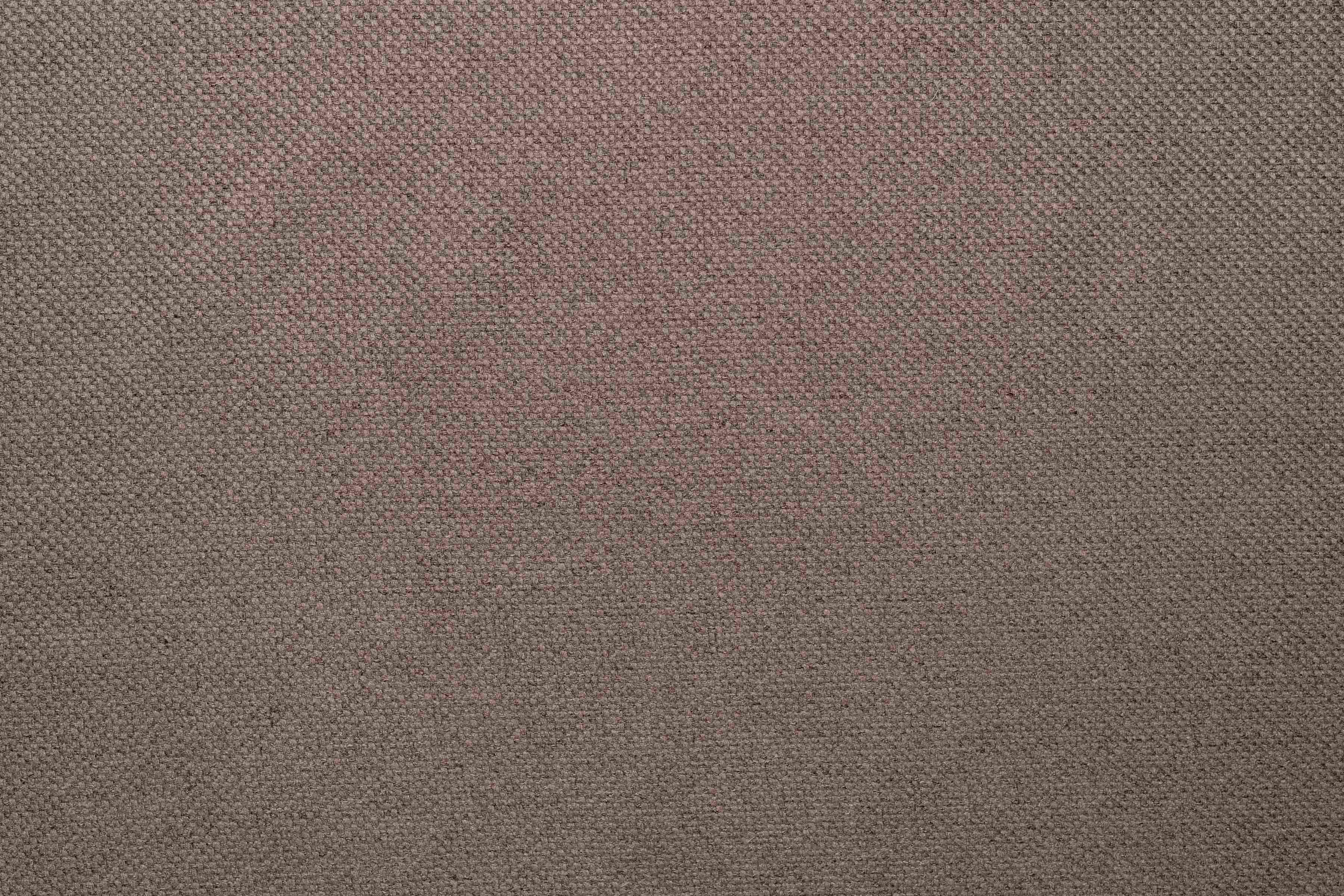Tara Taupe