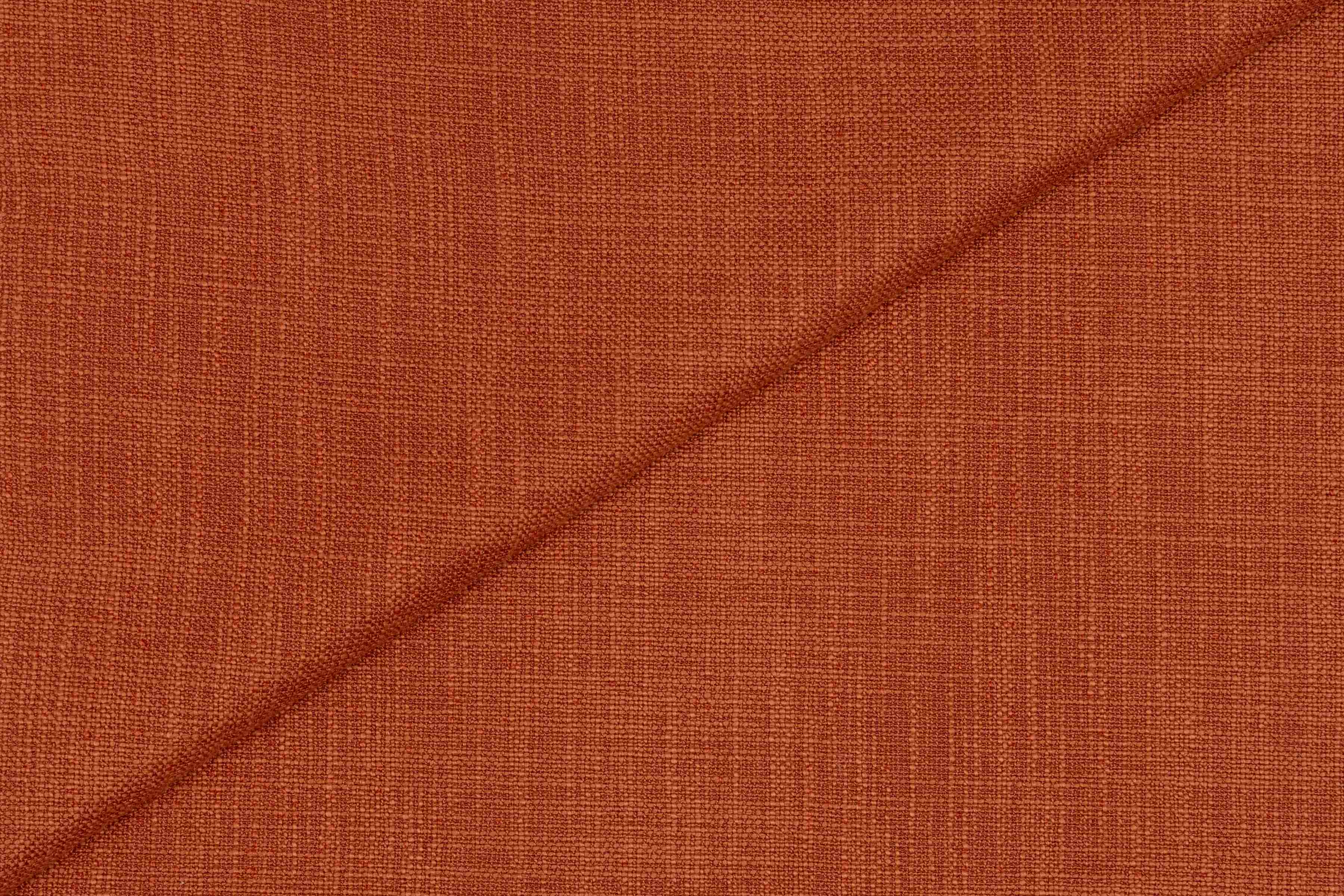 Ariadna Coral
