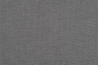 Pitusa Black