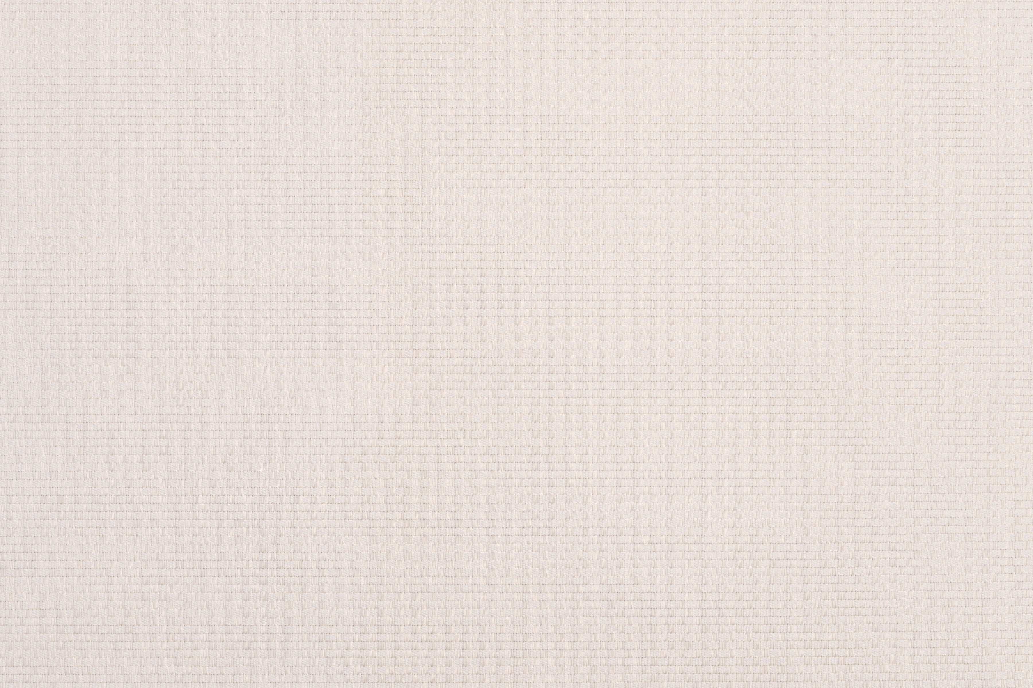 Pitusa Ivory