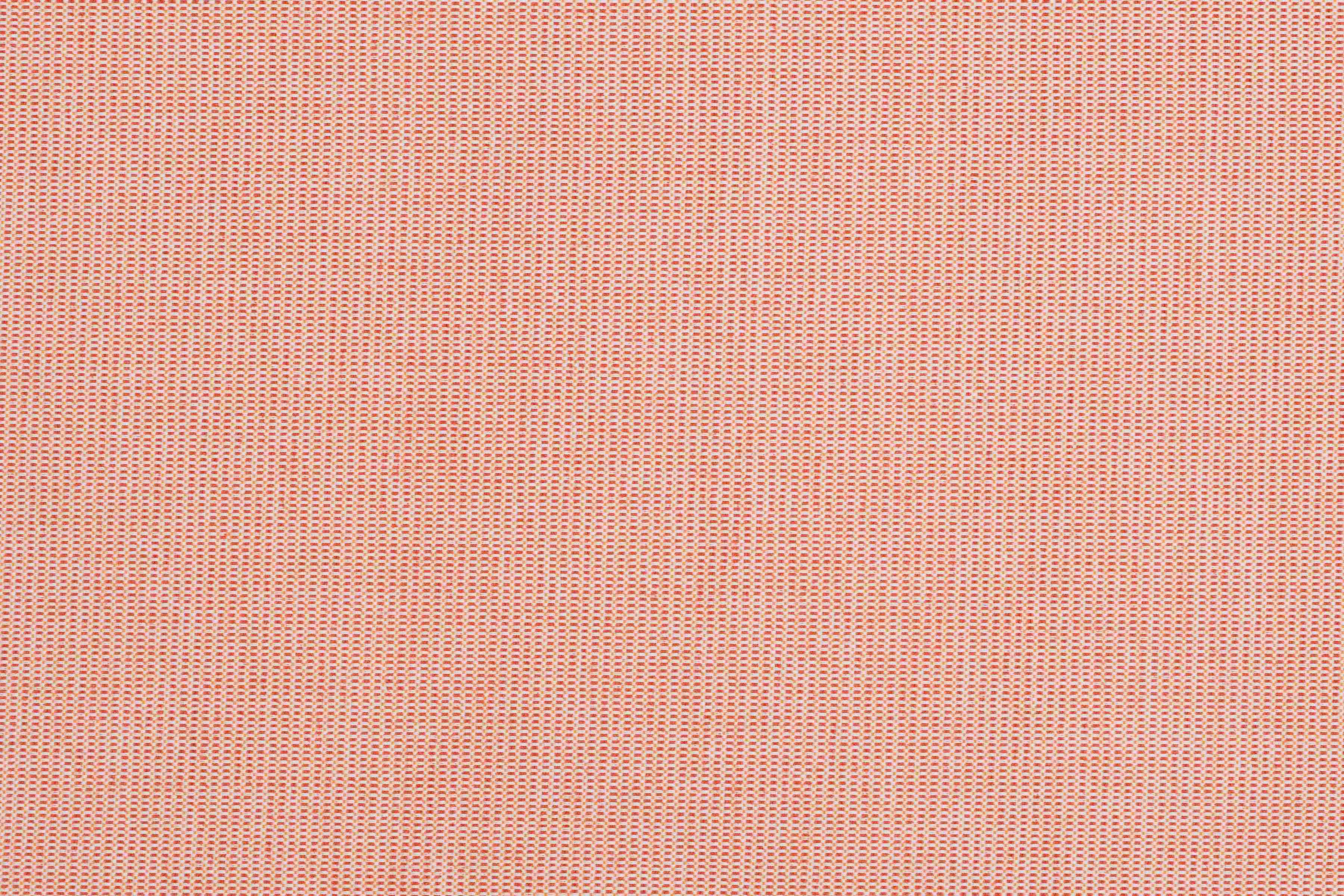 Havana Orange