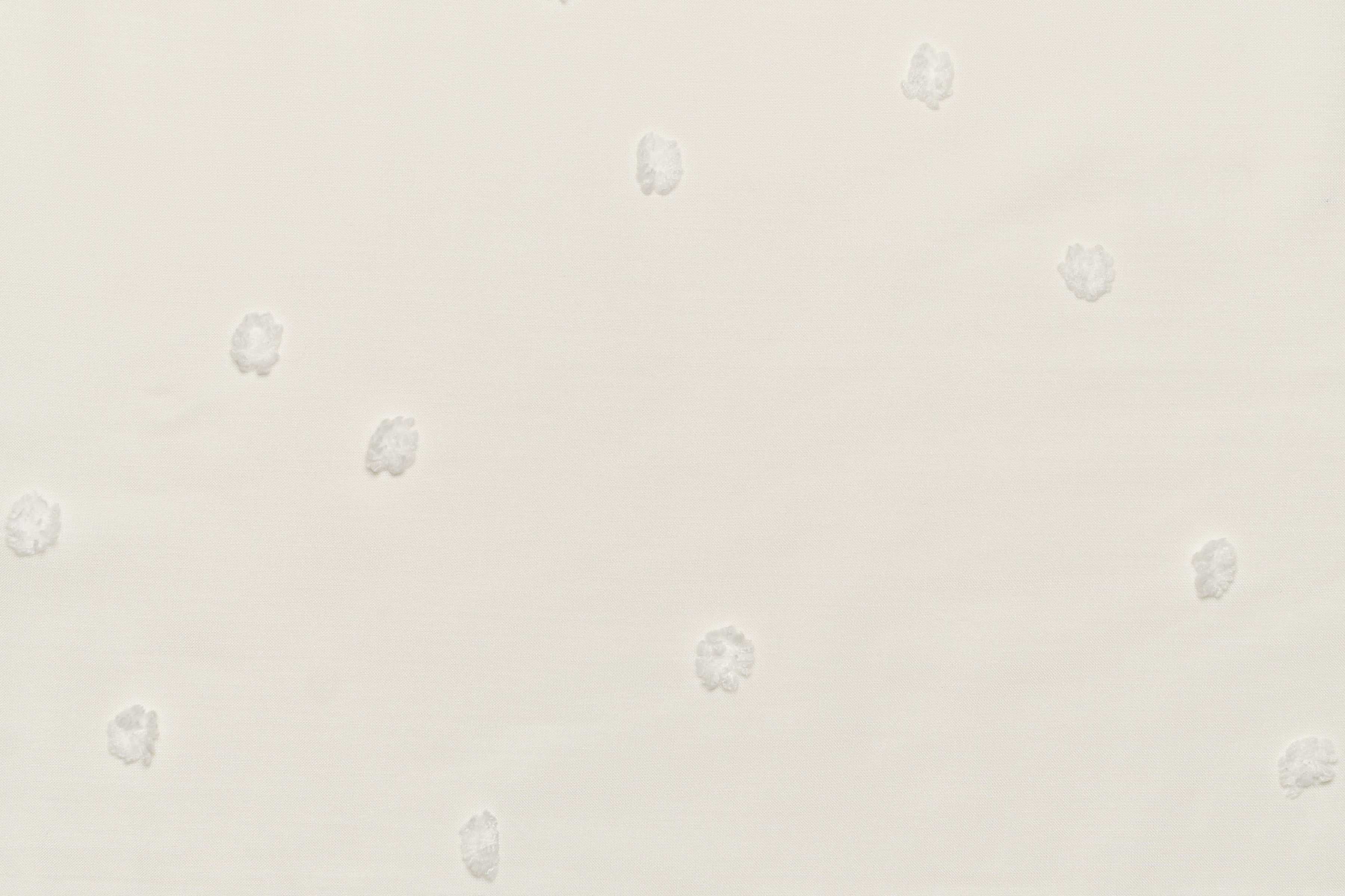 Pompon White