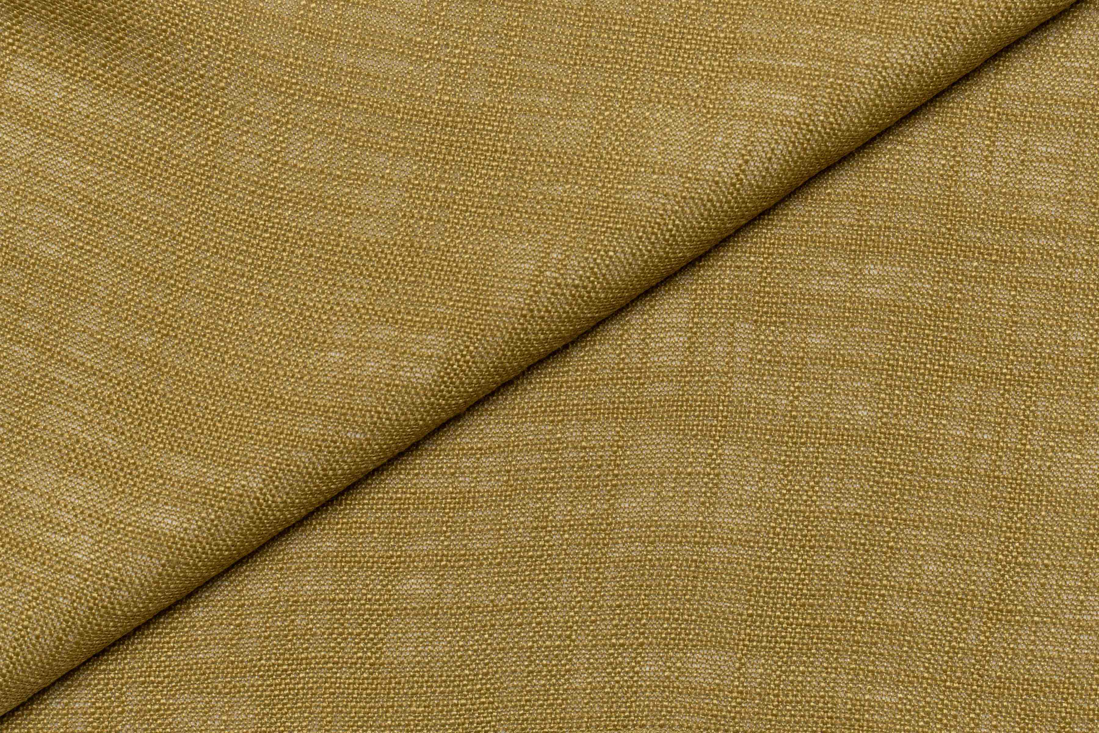 Torino Mustard