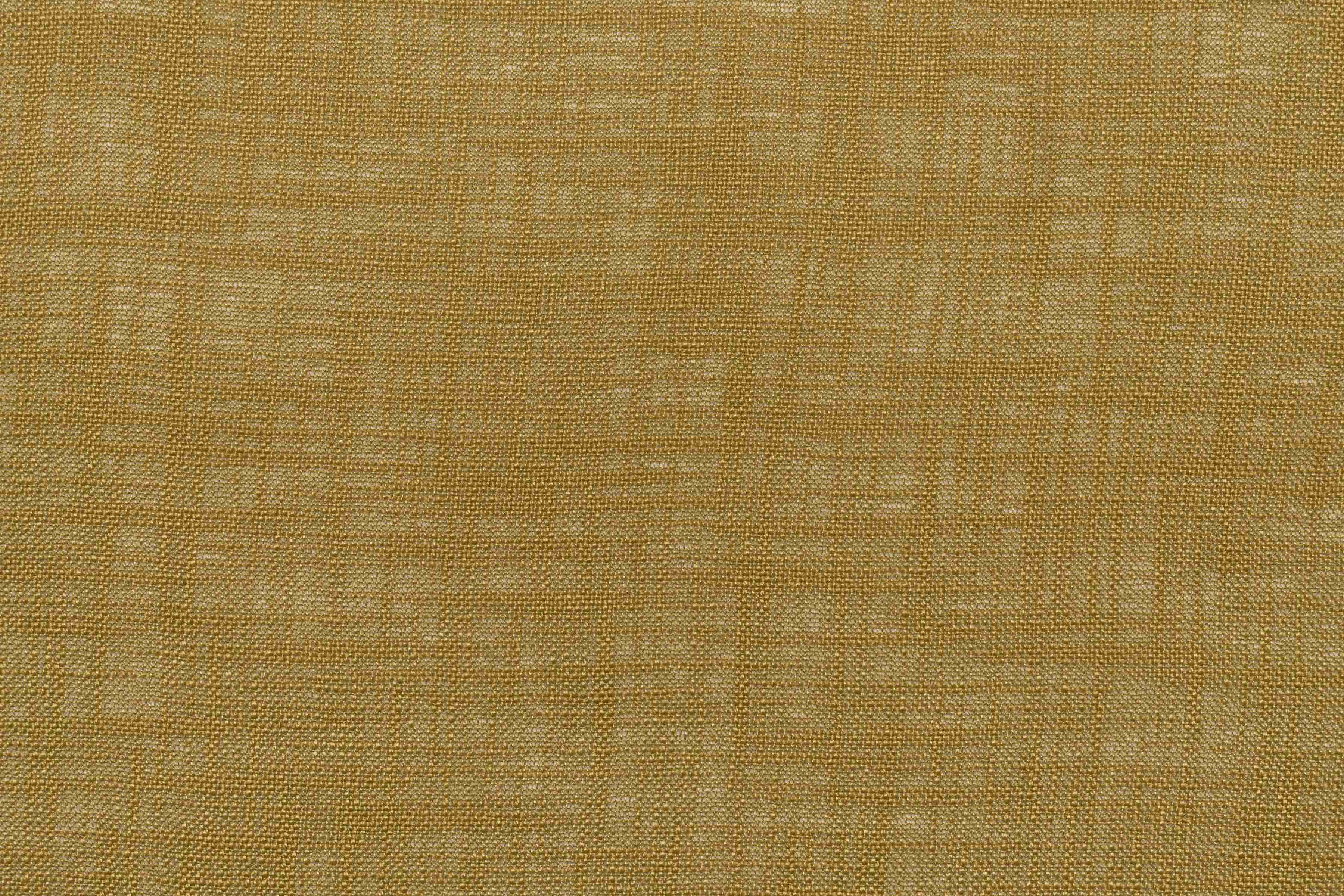 Torino Mustard