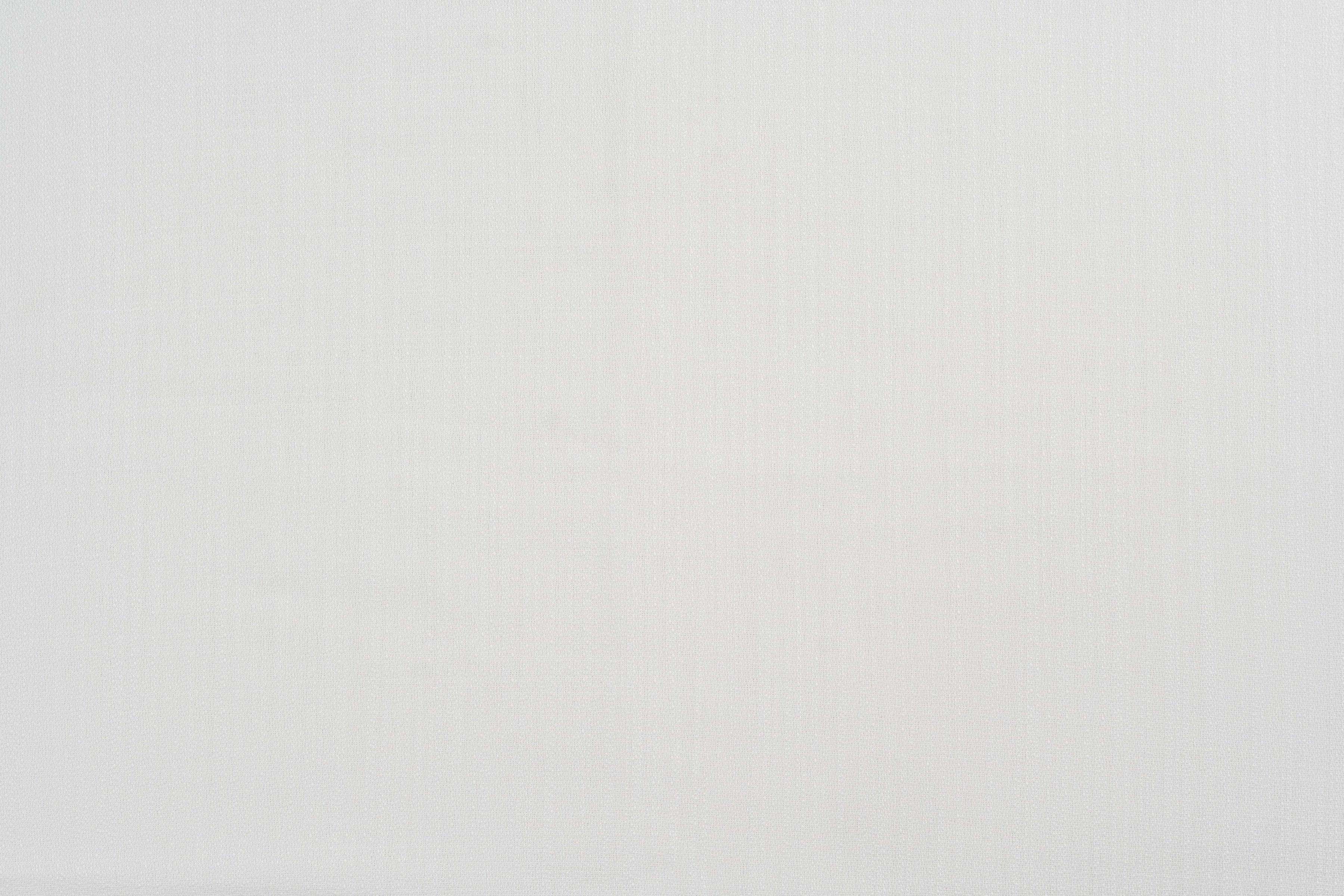 Arbo Blanco