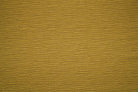 Kindle Citrus Mustard