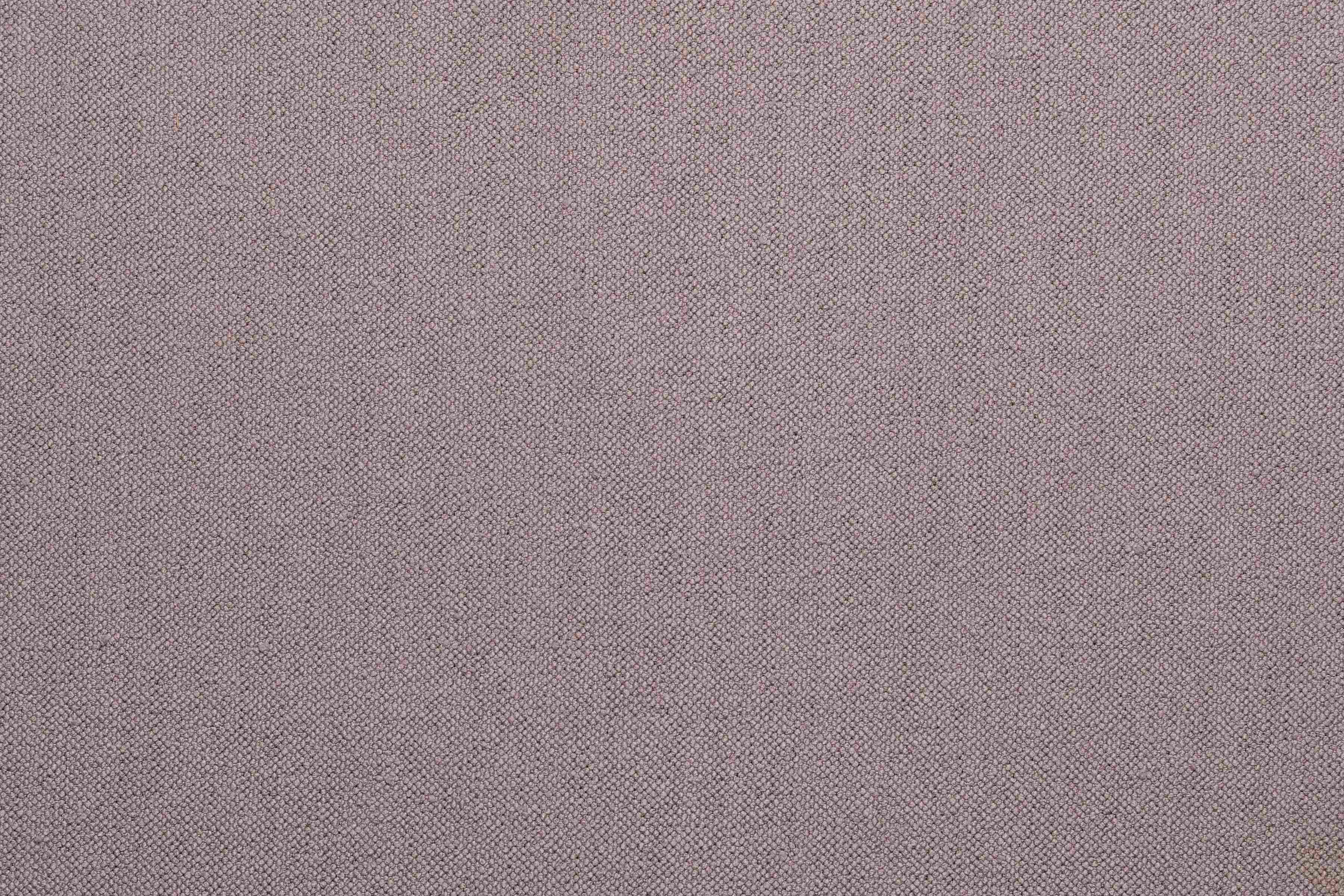 Distance Lilac