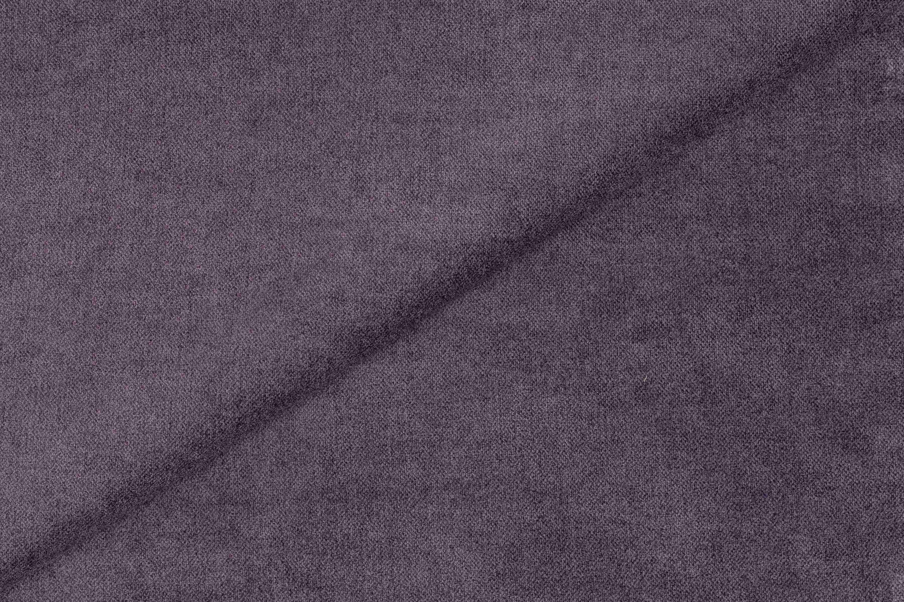 Velvety Lilac