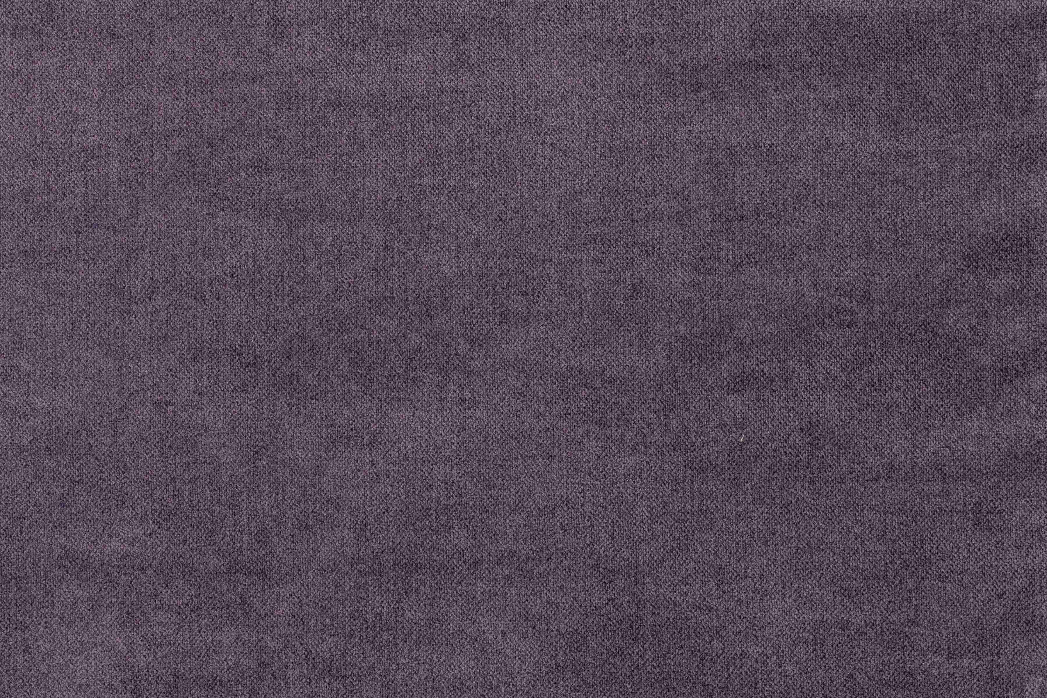 Velvety Lilac