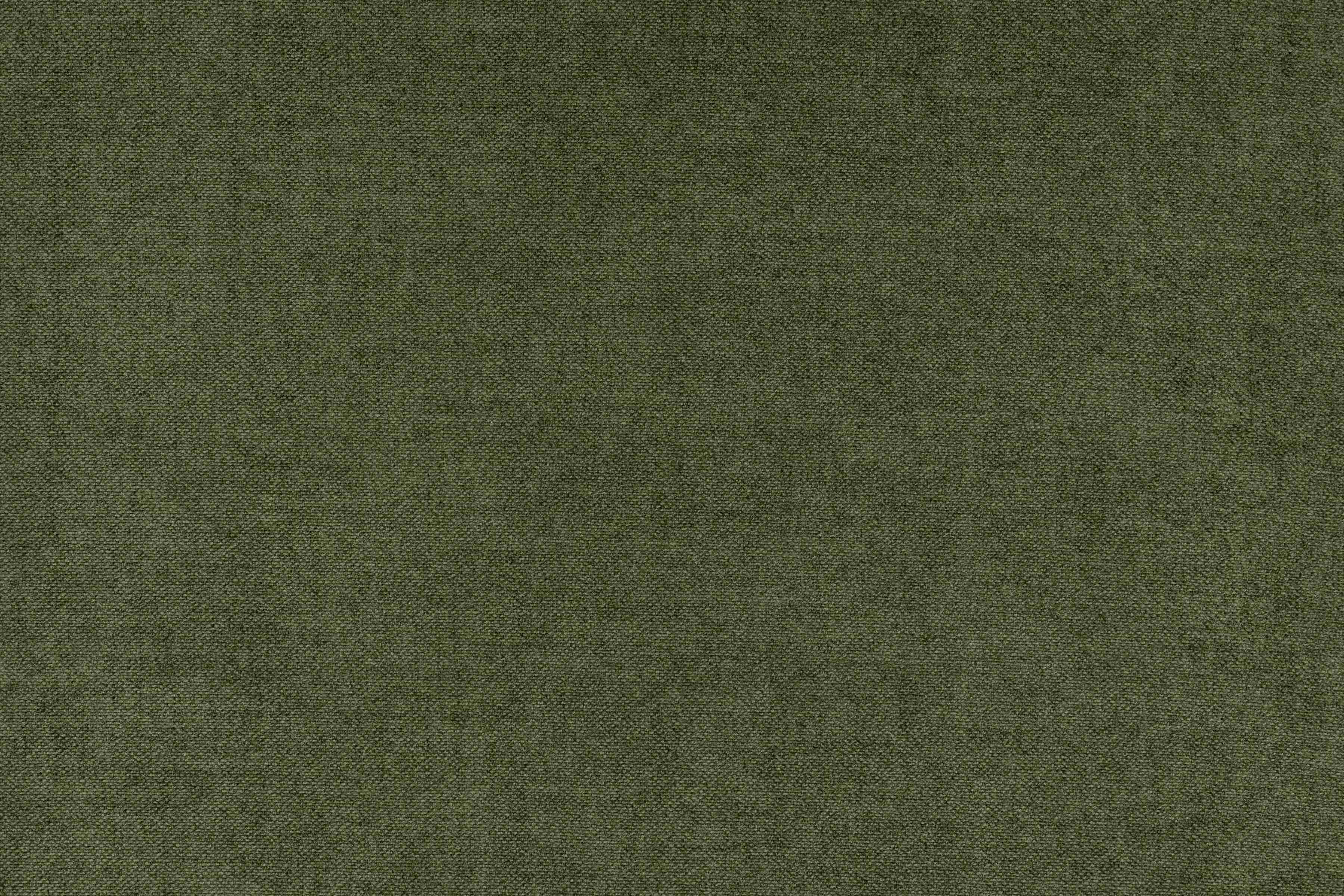 Velvety Forest