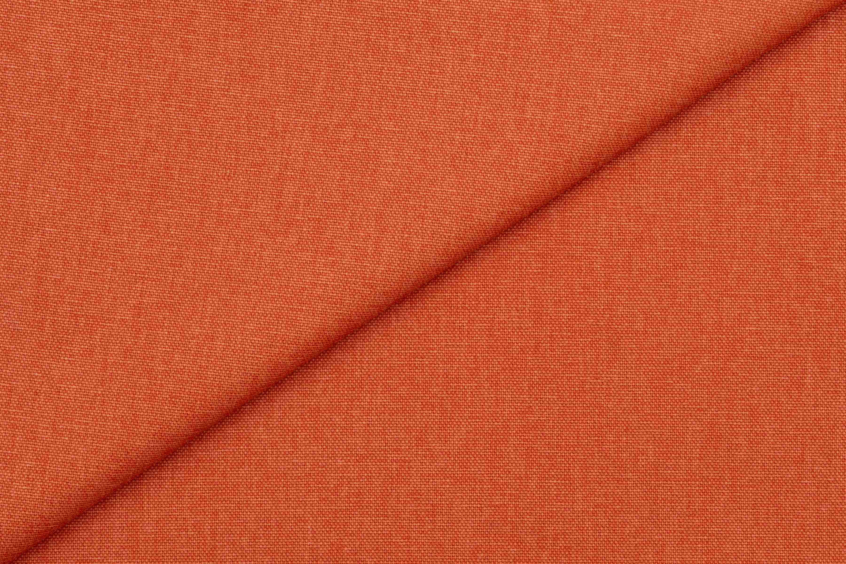 Miami Coral