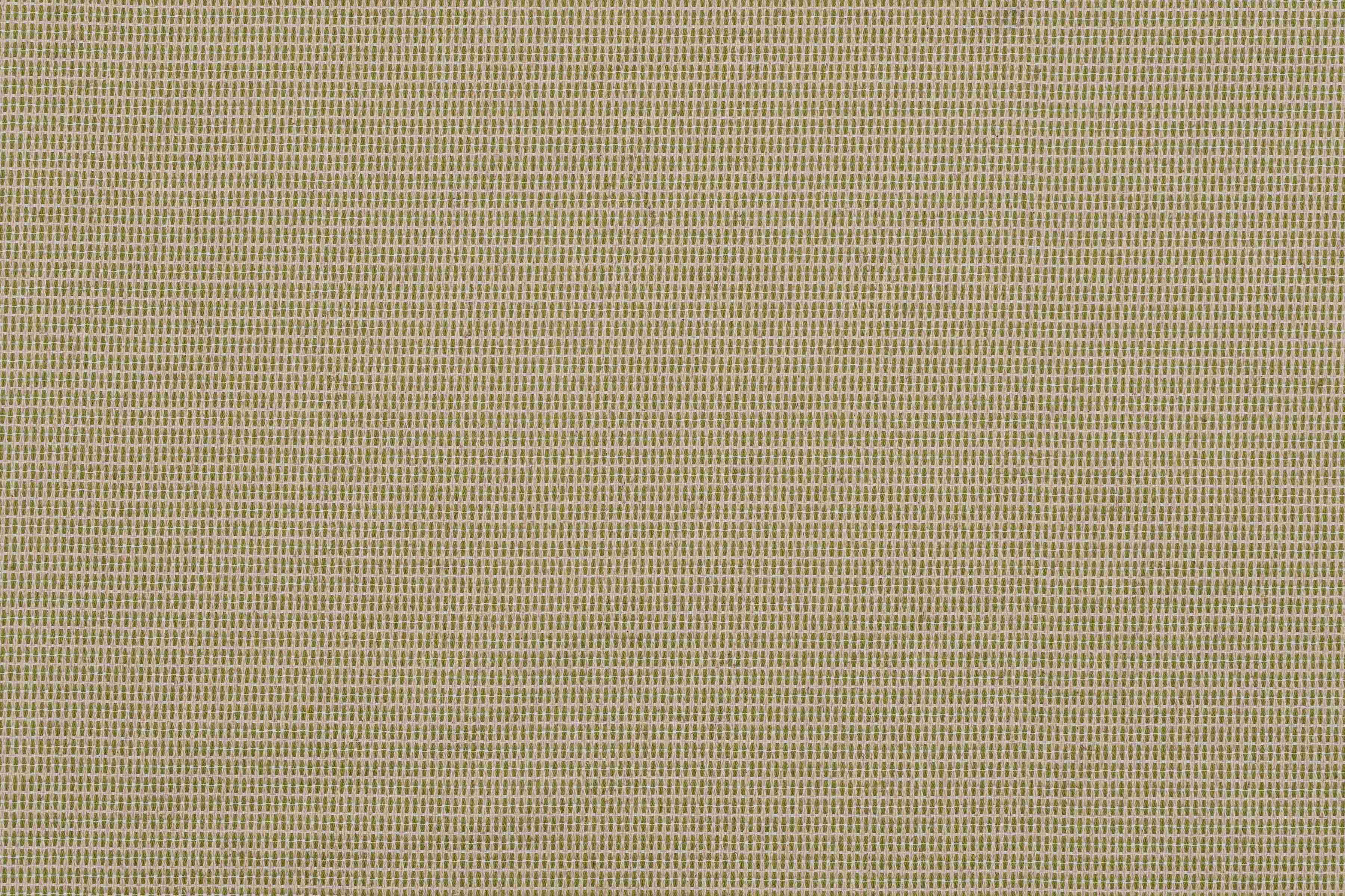 Newbie Apple Green