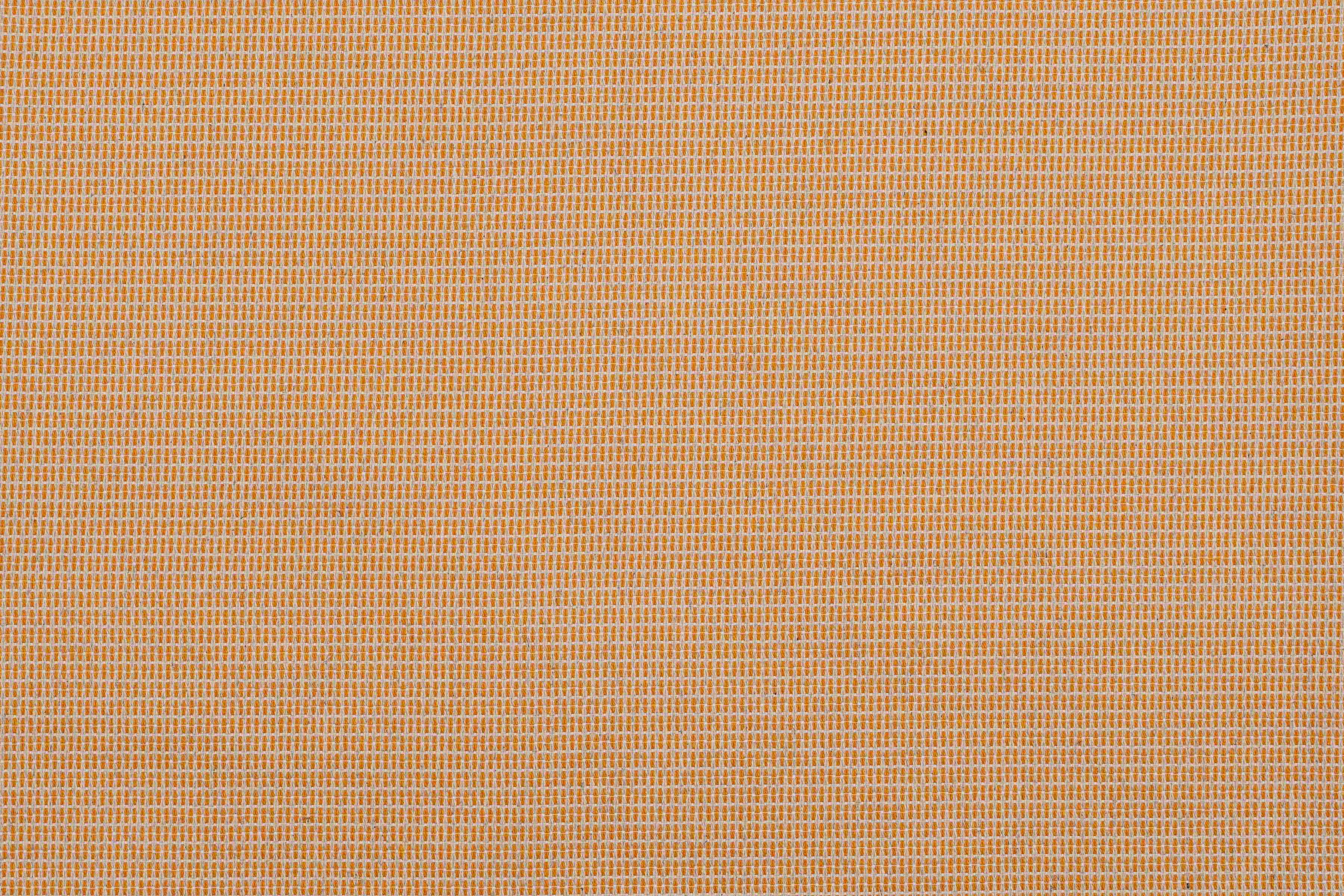 Newbie Orange