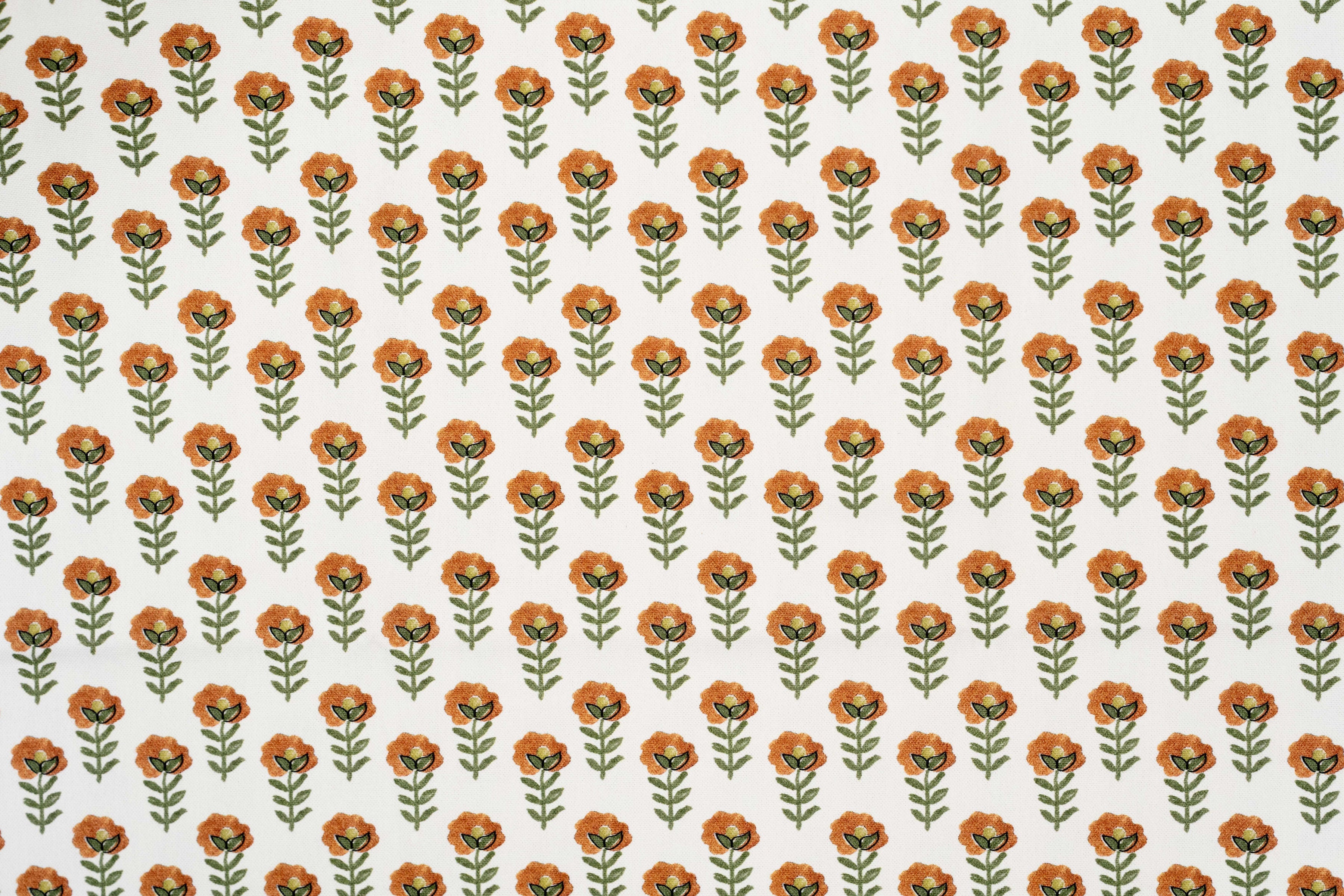 Elaisy Mandarina