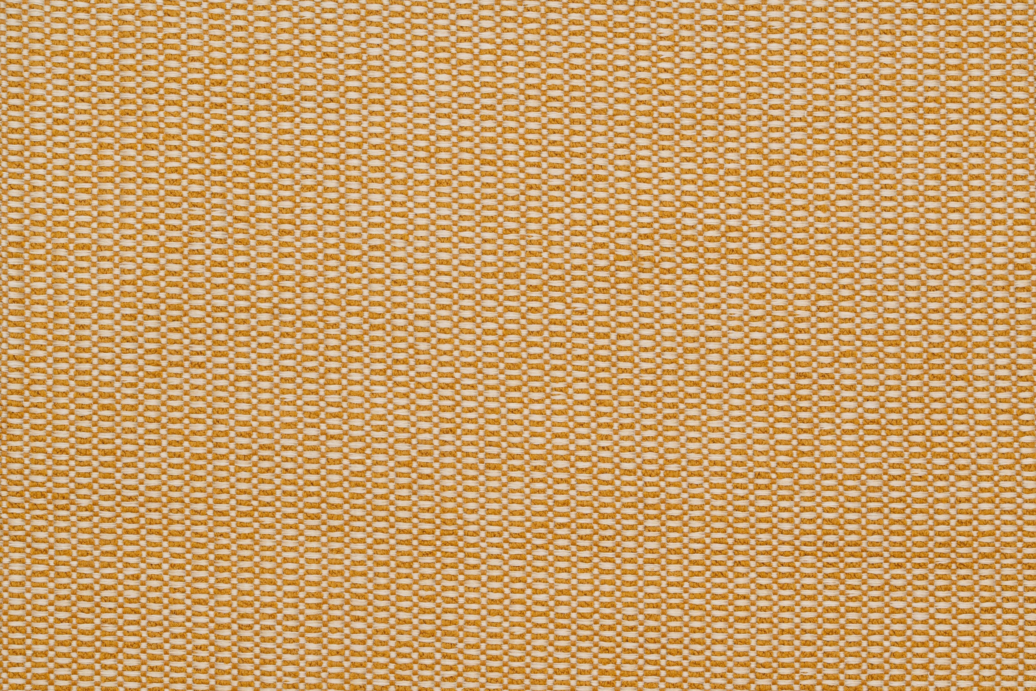 Paradise Beige/Mostaza
